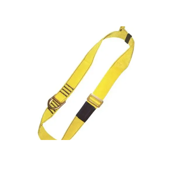 Correa de Restricción