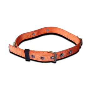 Correa Portalámpara